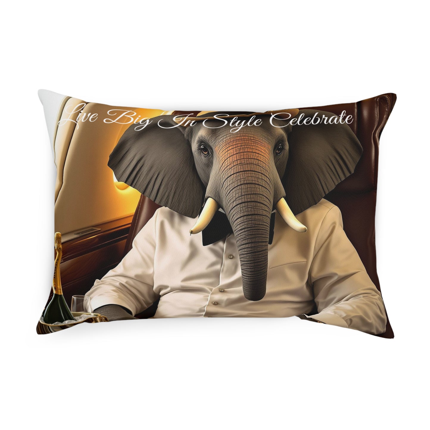 Cushion - Havana Elephant - The Gentlemen and The First Class Voyager (Captioned)