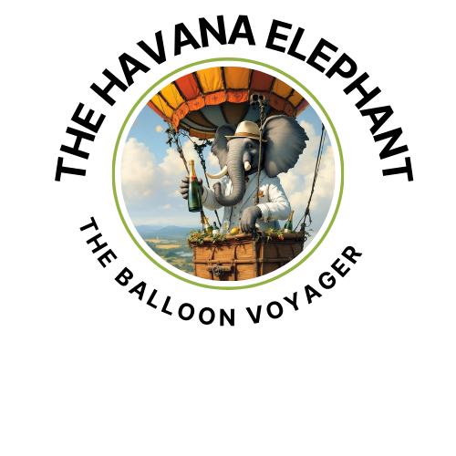 Whimsical Elephant Crop Tee - The Balloon Voyager