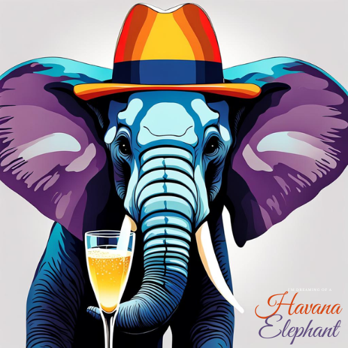 Embrace the Funky Style with The Havana Elephant Brand